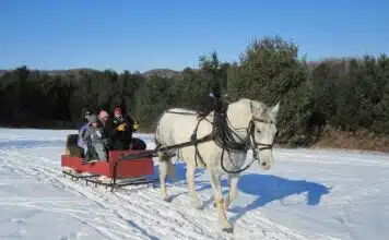 Tenue d’hiver : comment bien porter la doudoune ?