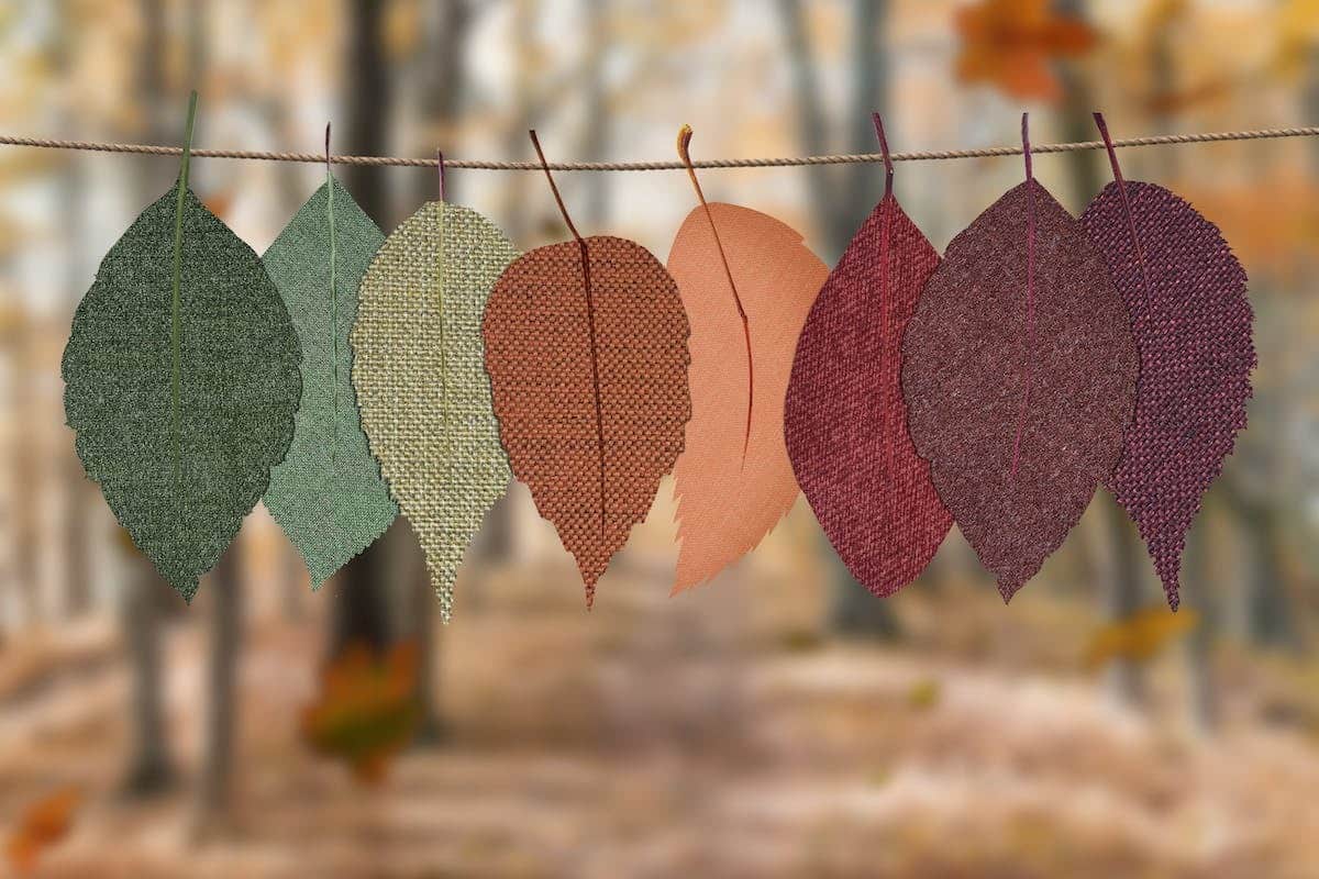 couleur  confiance