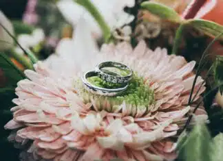 bague de fiançailles serties de pierres