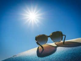 brown framed sunglasses