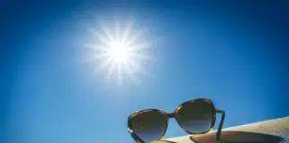 brown framed sunglasses